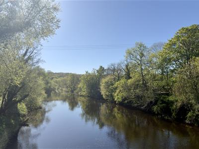 Picture 41